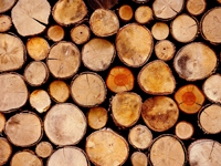 外国の輸入木材